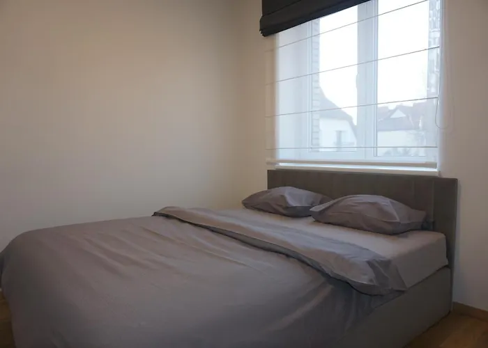 Modern New-build Apt, Managed By Rentifor * クライペダ